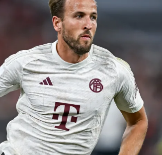 过度使用鞭 过度使用鞭